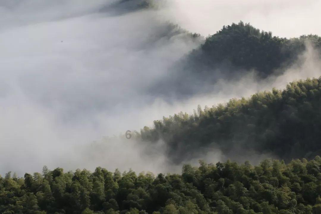 逗小猴开心系列177